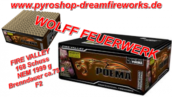 FIRE VALLEY NEU 168 Schuss Premium Feuerwerk ACHTUNG letzter Artikel